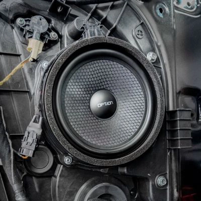 Basslautsprecher in Autotür