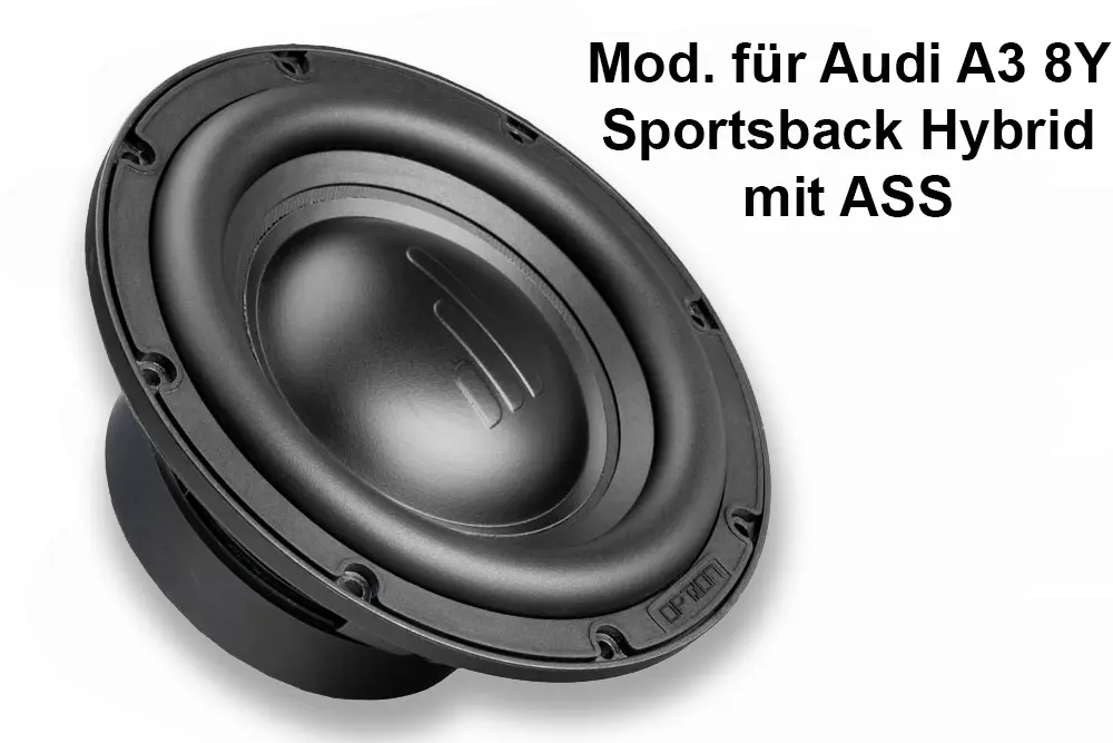 Subwoofer Chassis modifiziert für Audi mit ASS